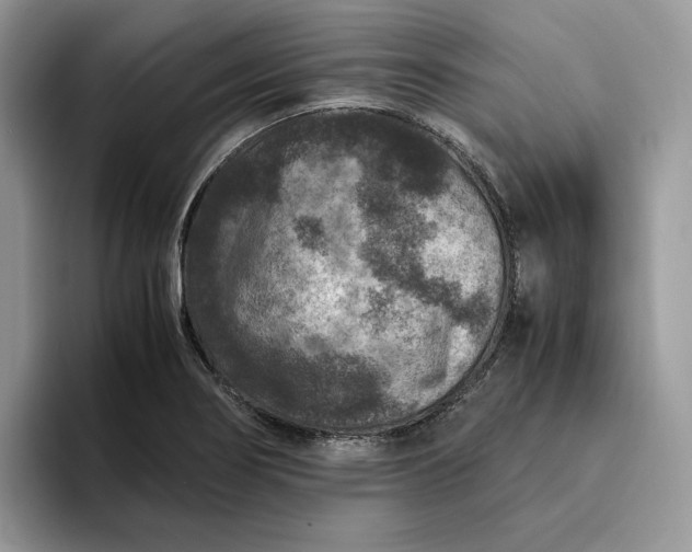 X0000094181274200711091136