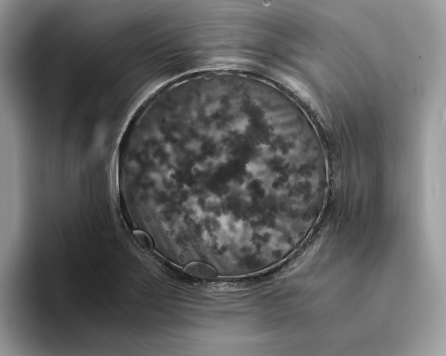 X0000094181275200711091136