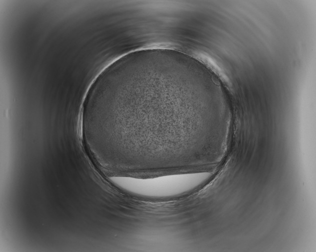 X0000094181276200711091136