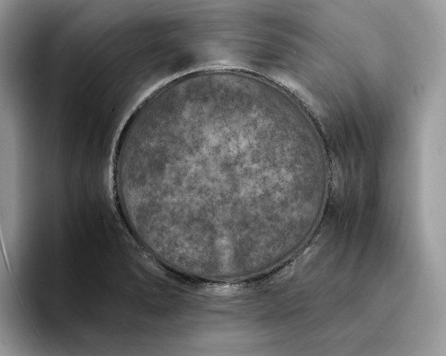 X0000094181278200711091136