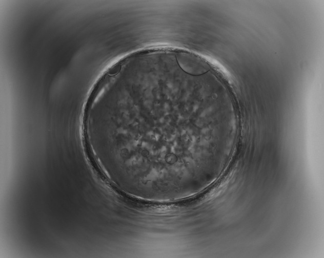 X0000094181279200711091136