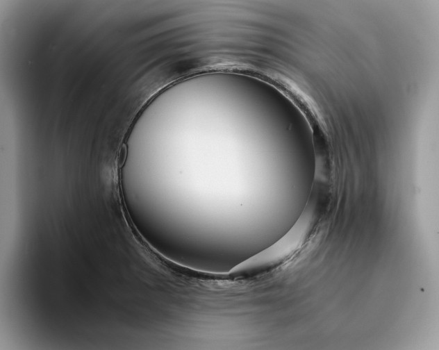 X0000094181281200711091136