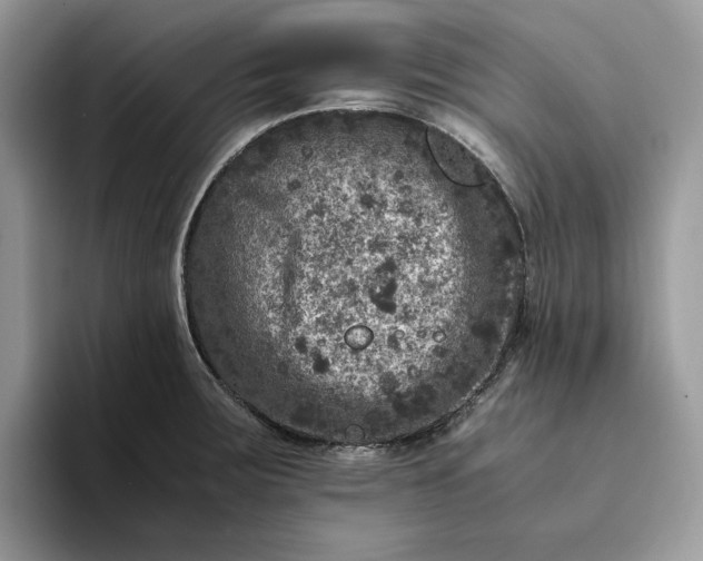 X0000094181283200711091136