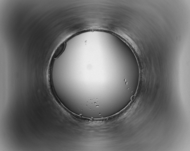 X0000094181285200711091136