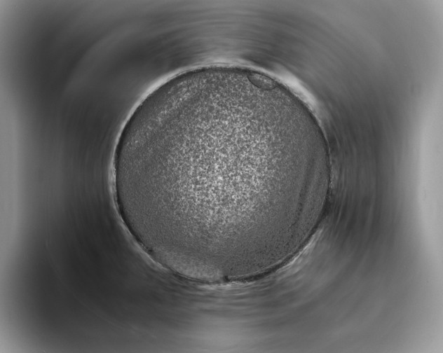 X0000094181287200711091136
