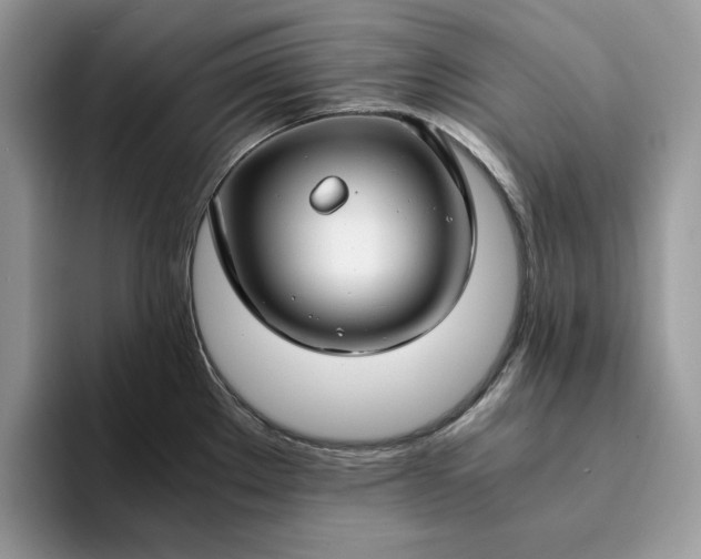 X0000094181289200711091136