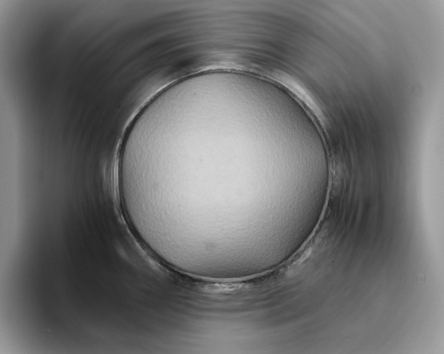 X0000094181290200711091136