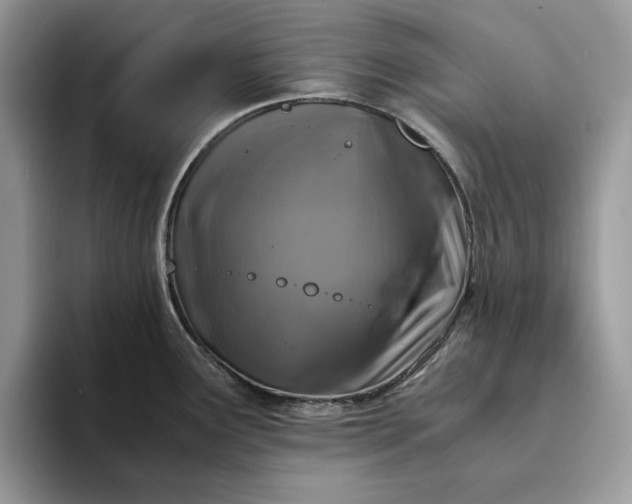 X0000094181291200711091135