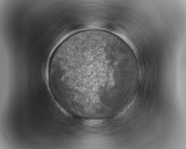 X0000094181294200711091135
