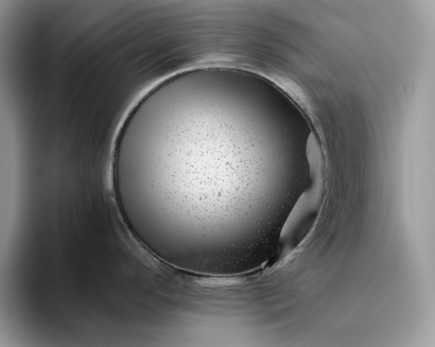 X0000094181296200711091135