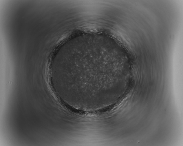 X0000094181297200711091135