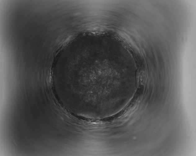 X0000094181298200711091135