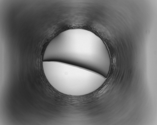 X0000094181300200711091135