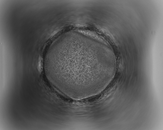 X0000094181301200711091135