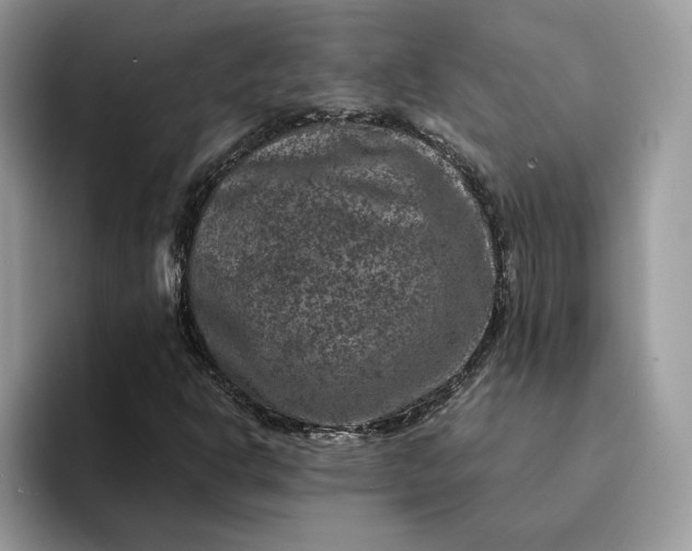 X0000094181302200711091135