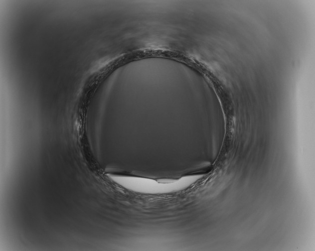 X0000094181303200711091135