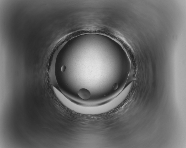 X0000094181304200711091135
