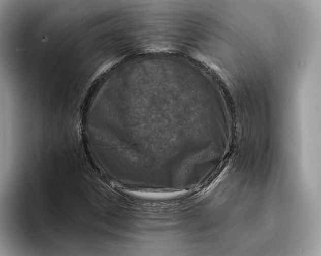 X0000094181306200711091135