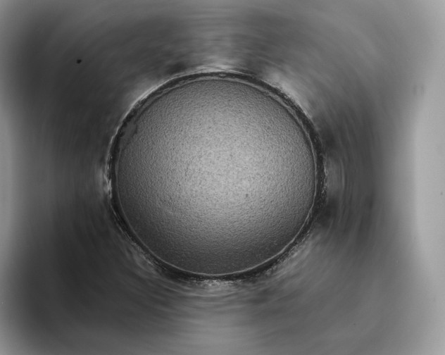 X0000094181308200711091135