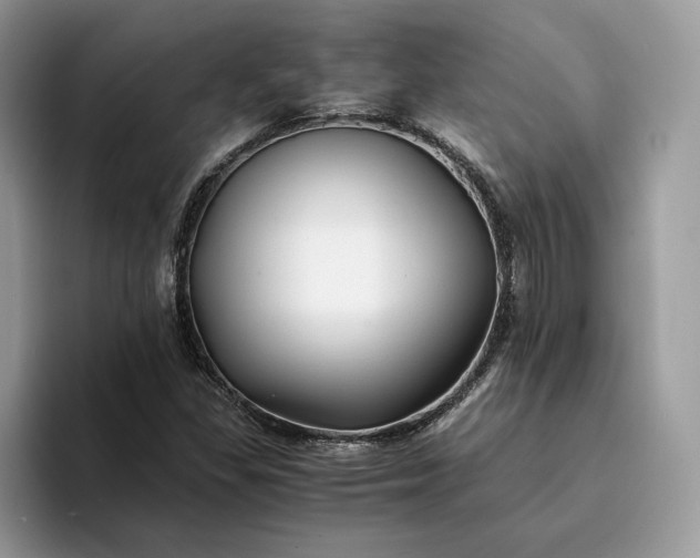 X0000094181309200711091135