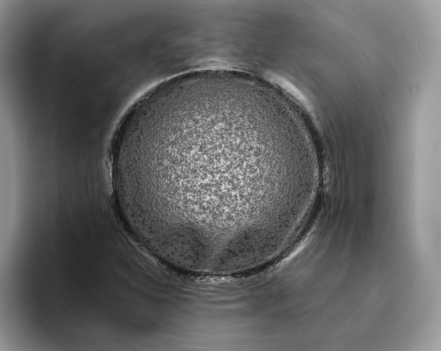 X0000094181310200711091135