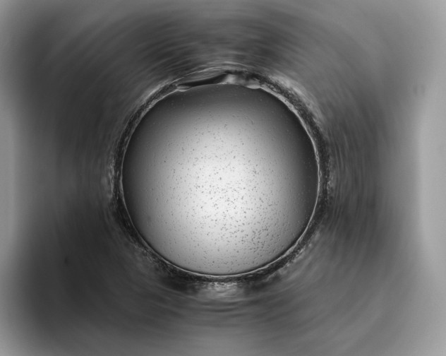 X0000094181313200711091135