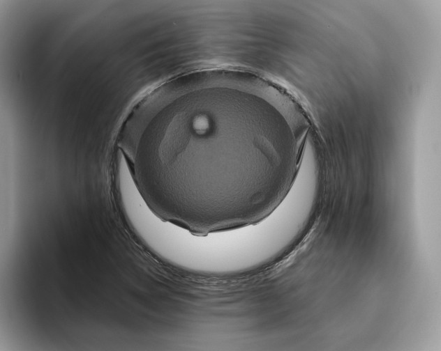 X0000094181314200711091135