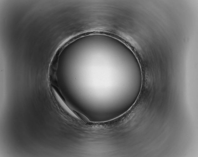 X0000094181316200711091135