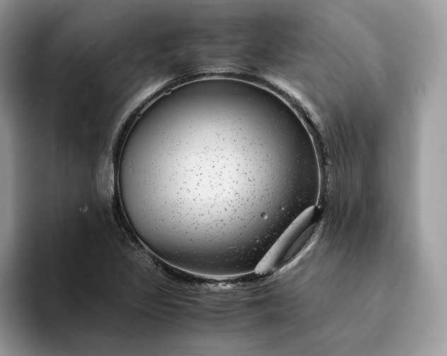 X0000094181317200711091135