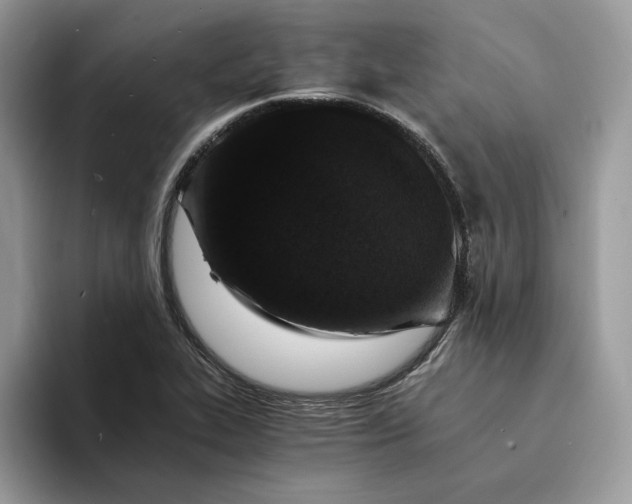 X0000094181319200711091135