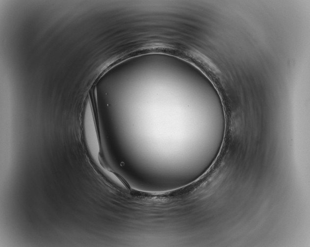 X0000094181321200711091135
