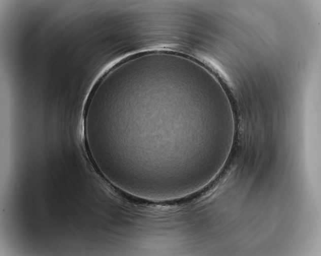 X0000094181324200711091135