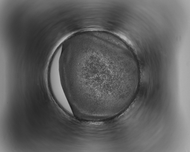 X0000094181325200711091135