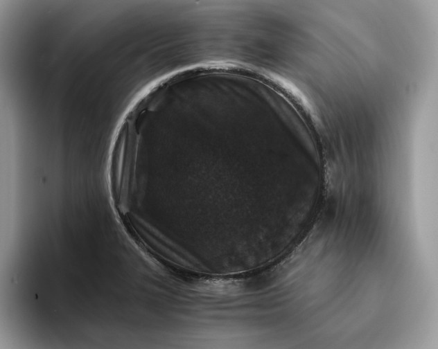 X0000094181327200711091135
