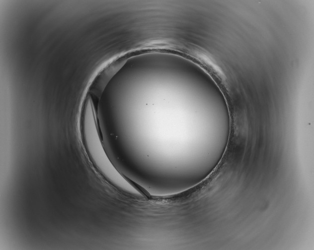 X0000094181328200711091135