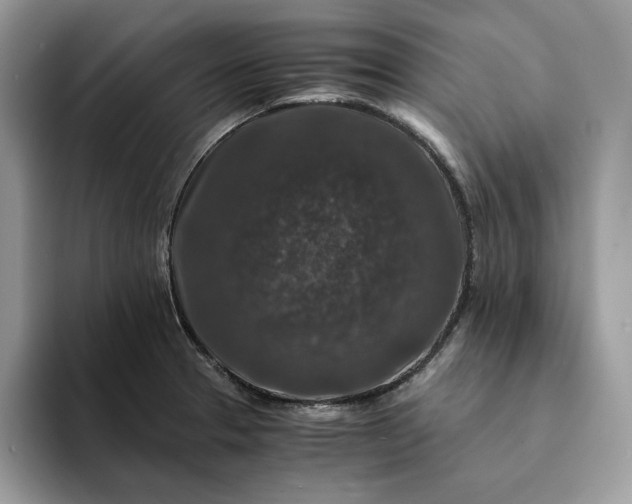 X0000094181329200711091135