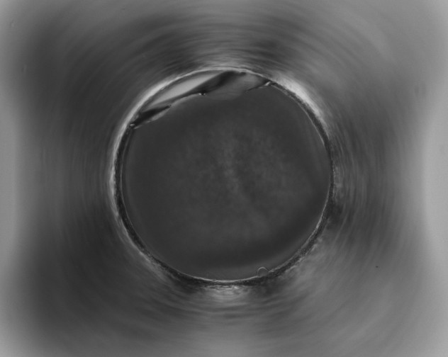 X0000094181331200711091135