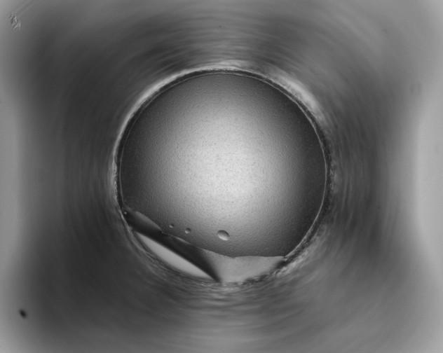 X0000094181332200711091135