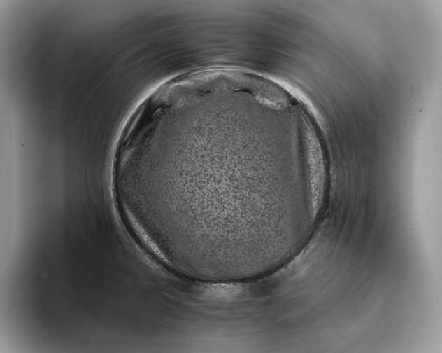 X0000094181333200711091135
