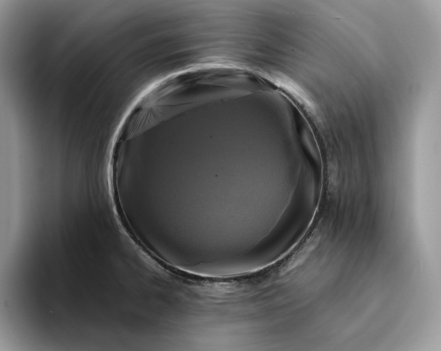X0000094181334200711091135