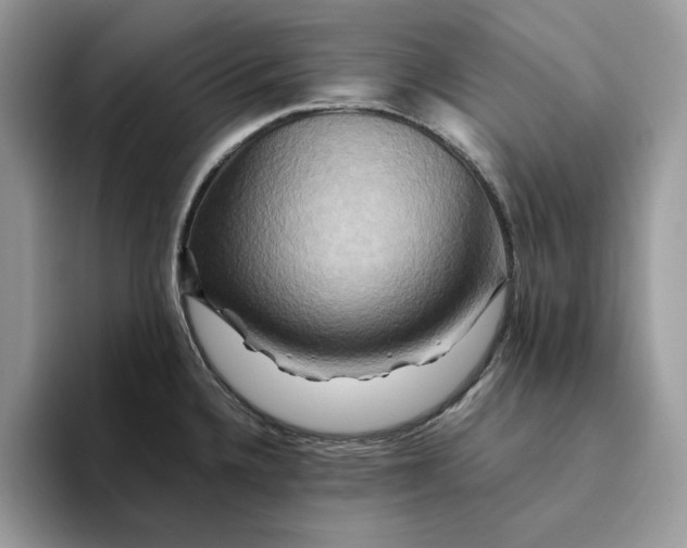 X0000094181336200711091135