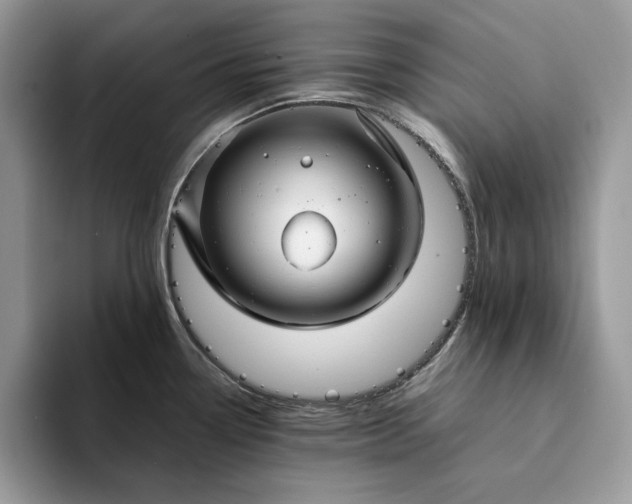X0000094181338200711091135