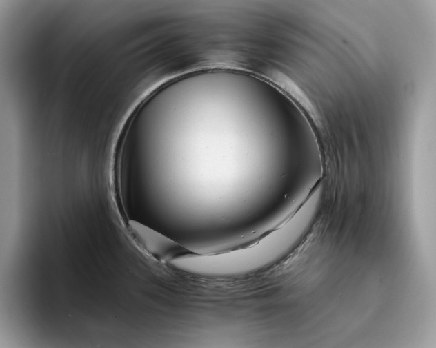 X0000094181339200711091135