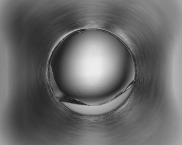 X0000094181340200711091135