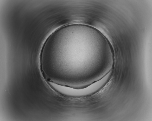 X0000094181341200711091135