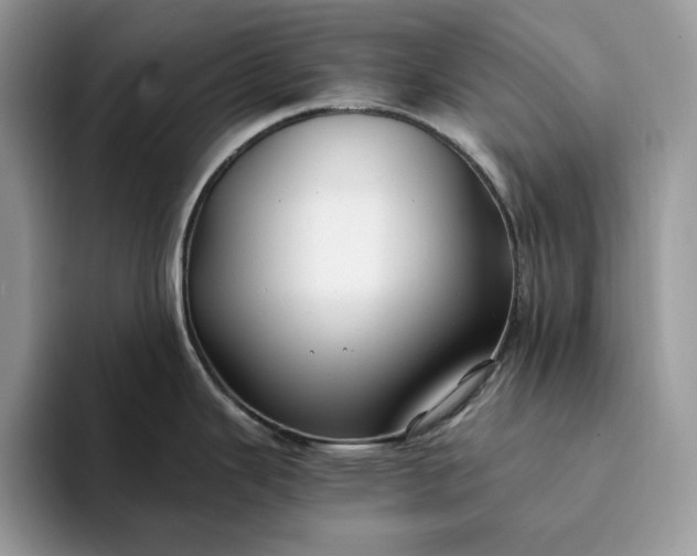 X0000094181343200711091135