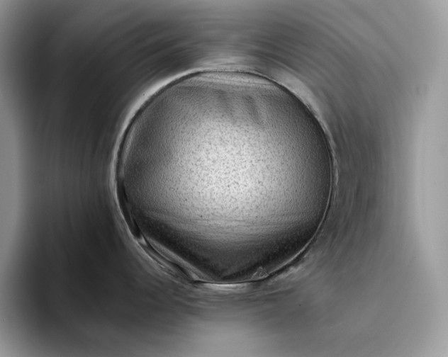 X0000094181344200711091135