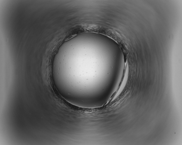 X0000094181345200711091135