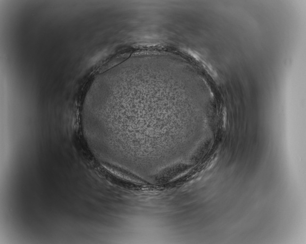 X0000094181350200711091135
