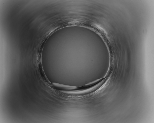 X0000094181353200711091135